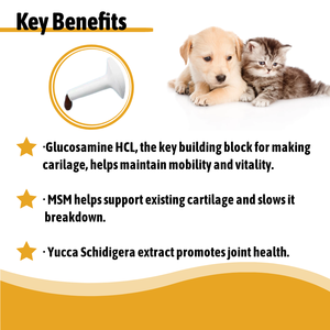 Bobbi Pure Custom <span class=keywords><strong>Best</strong></span> Pet Health Care Suplemento de golosinas para articulaciones y caderas Pasta de Gel Oral de calcio para perros - Product Image 3