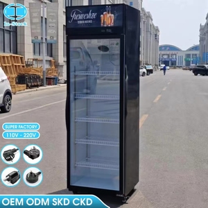 Réfrigérateur commercial vertical à porte unique 388L OEM/ODM, grande capacité, refroidissement par air, sans givre, pour boissons - Product Image 1
