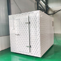 20FT 40FT Contenedor Carnicería Almacenamiento en Frío Móvil Montado Equipo de Refrigeración Congelador Mono Bloque Refrigeración