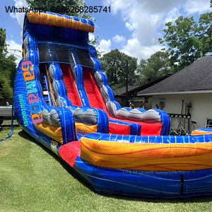 Glissière d'eau tropicale de videur sautant de palmier d'arrière-cour commerciale - Product Image 3