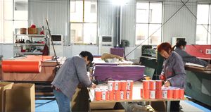 Attelle de compression médicale pour membre inférieur, kit d'attelle de premiers secours pour immobilisation de la cheville - Product Image 6