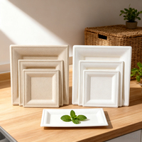 Assiettes carrées en bagasse jetables, de qualité supérieure, de plusieurs tailles, nouveau style, vente en gros d'usine pour restaurants, hôtels et fêtes