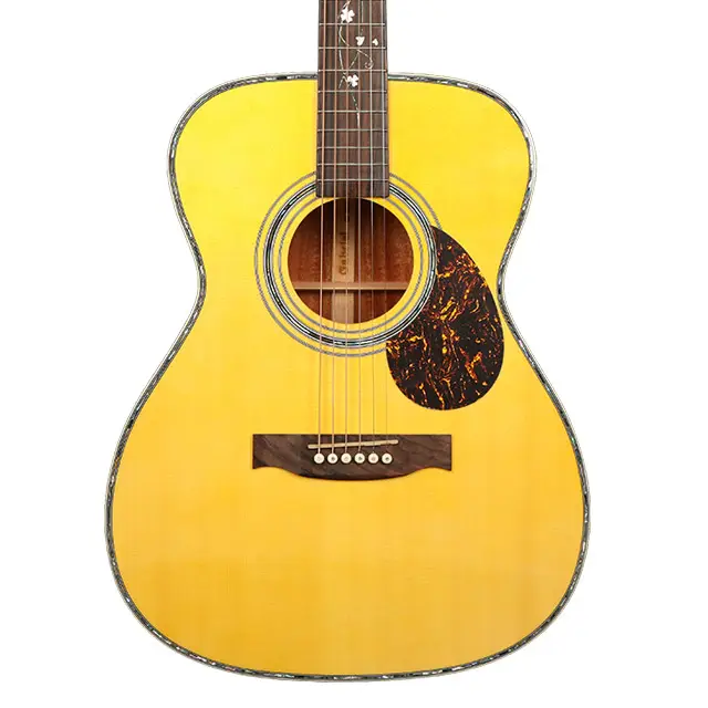 Newly designed semi acoustic acoustic guitar and equalizer retro guitar