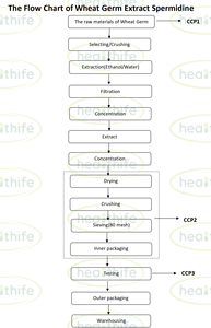 Il magazzino USA integra l'estratto di germe di grano fermentato 1% polvere di spermidina - Product Image 3