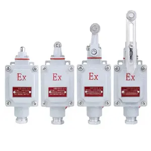 LX5 Explosion-Proof Travel Switch Explosion Proof General Electrical Limit Switch