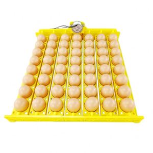 Incubateur entièrement <span class=keywords><strong>automatique</strong></span> compact, <span class=keywords><strong>fiable</strong></span> et durable, pour plateaux d'œufs de poulet, de canard et de caille, en matériau PP - Product Image 4