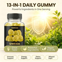 Mousse de Mer Huile de Nigelle Ashwagandha Gingembre Gommes 60 Immunité Énergie Detox Vegan Santé Quotidienne Complément