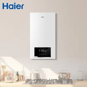 Haier Low Price Top Quality China Factory Quickly Heating 26kw White Panel Mounted Gas Boiler For Wall Hung