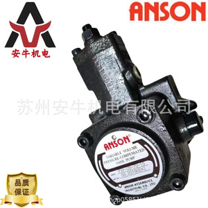 ปั๊มแวนคู่ Anson รุ่น VP55FD-A4-A4-50 ปั๊มไฮดรอลิกแบบหมุนทำจากเหล็กหล่อ ขับเคลื่อนด้วยไฟฟ้า - Product Image 5