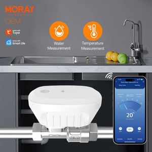 Moray ME220W 涂鸦智能生活APP阀门可调语音控制螺纹NPT/BSP水定时器智能水阀控制器 - Product Image 1