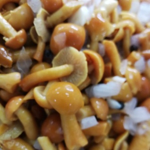 Bán buôn đóng hộp Nấm nameko trong túi vật nuôi Chất lượng cao rau sẵn sàng-to-ăn bảo quản Nấm trong nước muối nước muối nước muối - Product Image 5