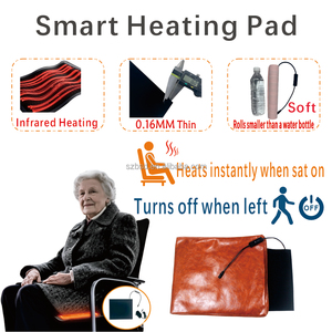 Alfombra Inteligente para Mascotas con Sensor de Presión, Encendido/Apagado Automático, Calefacción Infrarroja de Grafeno Suave y Delgada, Diseño Impreso, Uso en Exteriores, 5V/12V/24V, Directo de Fábrica - Product Image 4