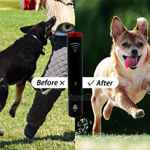 Açık köpekler ısırma insanlar el kovucu önlemek için USB şarj hayvan kovucu el köpek kovucu - Product Image 3