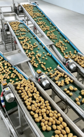 Hoogwaardige automatische sorteermachine voor afmetingen · Intelligente industriële sorteermachine voor classificatie
