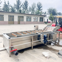 Automatische industriële luchtbel ozon fruitwasmachine groente- en fruitwasmachine met belletjes
