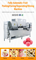 Commerciële sinaasappelschilmachine Elektrische fruit- en groenteschilmachine voor sinaasappels, citrusvruchten, kiwi's, avocado's, appels en citroenen