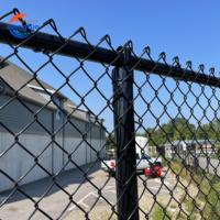 100ft Gegalvaniseerd Zwart Pvc Gecoate Kettingschakel Cycloon Gaas Hek Paneel Kettingschakel Voor Sportspel