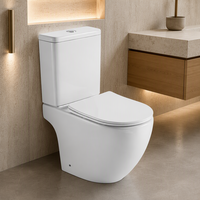 Vente en gros usine : WC en céramique deux pièces à chasse d'eau Tornado, blanc, pour appartement et salle de bain domestique