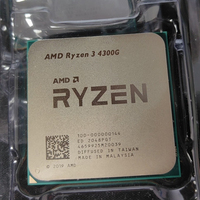 Prosesor AMD Ryzen 3 4300G OEM dengan Soket AM4, Frekuensi 3200 MHz, 4 Core, Prosesor Grafis Radeon Vega Mendukung Motherboard AM4