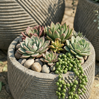 Set Pot Tanaman Beton Bergaris Minimalis Modern Ramah Lingkungan untuk Dekorasi Taman Dalam dan Luar Ruangan