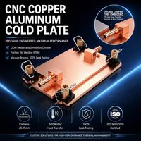 Plaque de refroidissement liquide en aluminium usinée sur mesure par CNC avec tube en cuivre intégré pour le refroidissement des onduleurs IGBT et des alimentations électriques