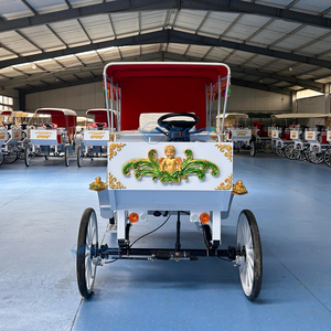 Vente directe usine : Chariot de chevaux électrique romantique victorien à 4 roues, structure en acier, pour excursions panoramiques, haut de gamme, personnalisable pour mariages - Product Image 2