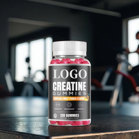 Bonbons gélifiés à la créatine monohydrate pour adultes OEM/ODM, 5 g de créatine par portion, végétarien, casher, sans gluten, sans gélatine, soutien musculaire