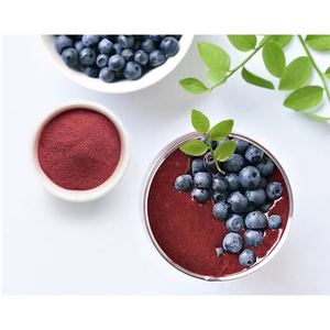 Polvo de Arándanos de Primera Calidad, Polvo de Fruta Vaccinium Corymbosum, Polvo de Fruta Deshidratada Natural, Materia Prima Alimentaria a Granel - Product Image 1