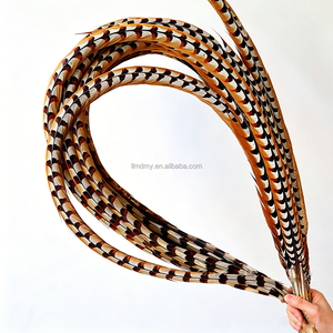 Venta al por Mayor de Fábrica de Plumas de Cola de Faisán Reeves Naturales Súper Largas para Disfraces de Carnaval, 25-120 cm - Product Image 1