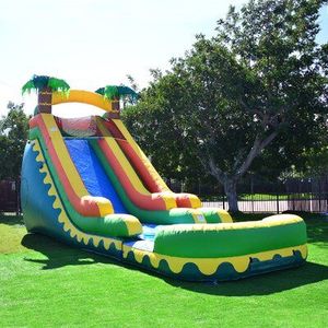 NBINFLATABLE Outdoor Commercial Tropical Thunder Dual Lane <b>Inflatable</b> <b>Water</b> <b>Slide</b> Pool Rental Parties 0.9mm PVC 3-Year Warranty - Product Image 1