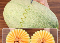 Syh2057 RVS Driehoekig Fruit Snijmes Appelversieringssnijder voor Decoratieve Presentatie en Eten Presenteren