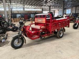 Triciclo de 200cc Más Vendido, Carro de Tres Ruedas con Carrocería Abierta/Cerrada para 2 Pasajeros - Product Image 2