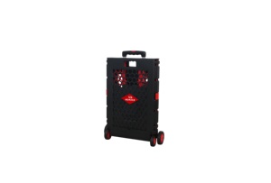 Carrito de compras plegable de plástico, carrito personal con 4 ruedas, carrito de malla, carrito de compras hueco a mano, gran capacidad - Product Image 2