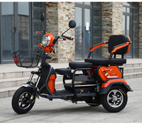 Tricycle électrique de fret à trois roues avec moteur central de 800 W 1000 W, scooter réglable à trois places