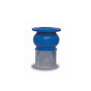Clapet à ressort en fonte ductile avec filtre, fourni par l'usine, livraison gratuite - Product Image 1