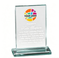 Plaque de récompense personnalisée en acrylique transparent, trophée personnalisé pour la reconnaissance des employés