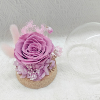 Miniature de rose naturelle conservée, mini-rose dans l'herbe, cadeau pour la fête des mères et des pères, prix d'usine