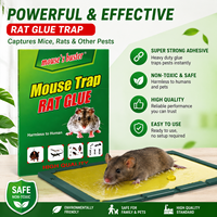 Perangkap Tikus Lem Perekat Lipat 80g Lem Kuat Papan Tikus Tidak Beracun Perangkap Stiker Tikus Berkualitas Tinggi untuk Pengendalian Hama Tikus