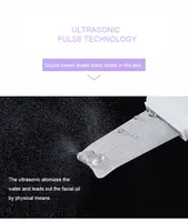 Nettoyeur de peau ultrasonique à 3 modes, brosse nettoyante électrique pour le visage, fonctionnement ionique, éliminateur de peaux mortes, nettoyeur de pores, OEM ODM