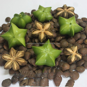 Máquina para Descascarar Nueces de Sacha Inchi, Máquina Procesadora de Sacha Inchi - Product Image 5