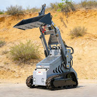 Minicargadora, Cargadora de Orugas, Cargadora de Tractor con Motor CE EPA de Alto Momento de Carga