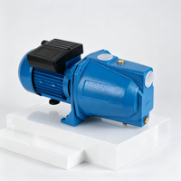 Pompe auto-amorçante YINJIA JET100B 1HP à haute pression, monophasée, entièrement automatique, avec moteur AC, roue en laiton et joint céramique, OEM, 40m