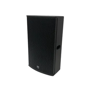 DEKEN FLEX T15 مكبر صوت احترافي نظام صوت 15 بوصة مكبر صوت مسرح خارجي نطاق كامل مكبر صوت بتردد