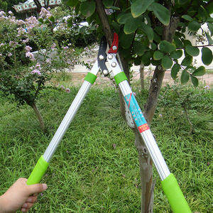 กรรไกรตัดกิ่งแบบ DIY ใบมีดเหล็ก ขนาด 60 มม. ด้ามจับกันลื่น สำหรับใช้กับต้นไม้ผลไม้และทำสวน - Product Image 3