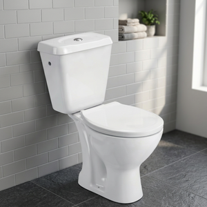WC commercial en céramique deux pièces, à poser au sol, pour salle de bain, Inde - Fournisseur d'usine - Product Image 2