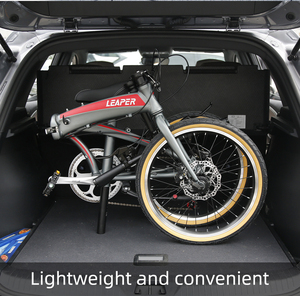 LEAPER LP8 7 vitesses en alliage d'aluminium noir <span class=keywords><strong>léger</strong></span> pliable adulte hommes femmes ville pneu urbain 20 pouces <span class=keywords><strong>vélo</strong></span> pliable - Product Image 6