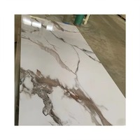 Le haut PVC de marbre brillant intérieur couvre des panneaux de mur d'ardoise de carbone pour la décoration intérieure