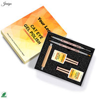 Ensemble de vernis à ongles gel effet œil de chat de qualité professionnelle avec 2 pinceaux à double embout et 1 bâtonnet magnétique pour la pose des ongles