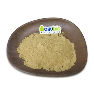 Aogubio Damiana Leaf Extract Factory Supply Damiana Leaf Extract Pure 99% Damiana Leaf Extract Powder