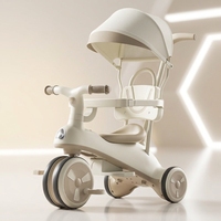 Tricycle multifonctionnel anti-retournement pour bébé avec musique, lumière et pédale